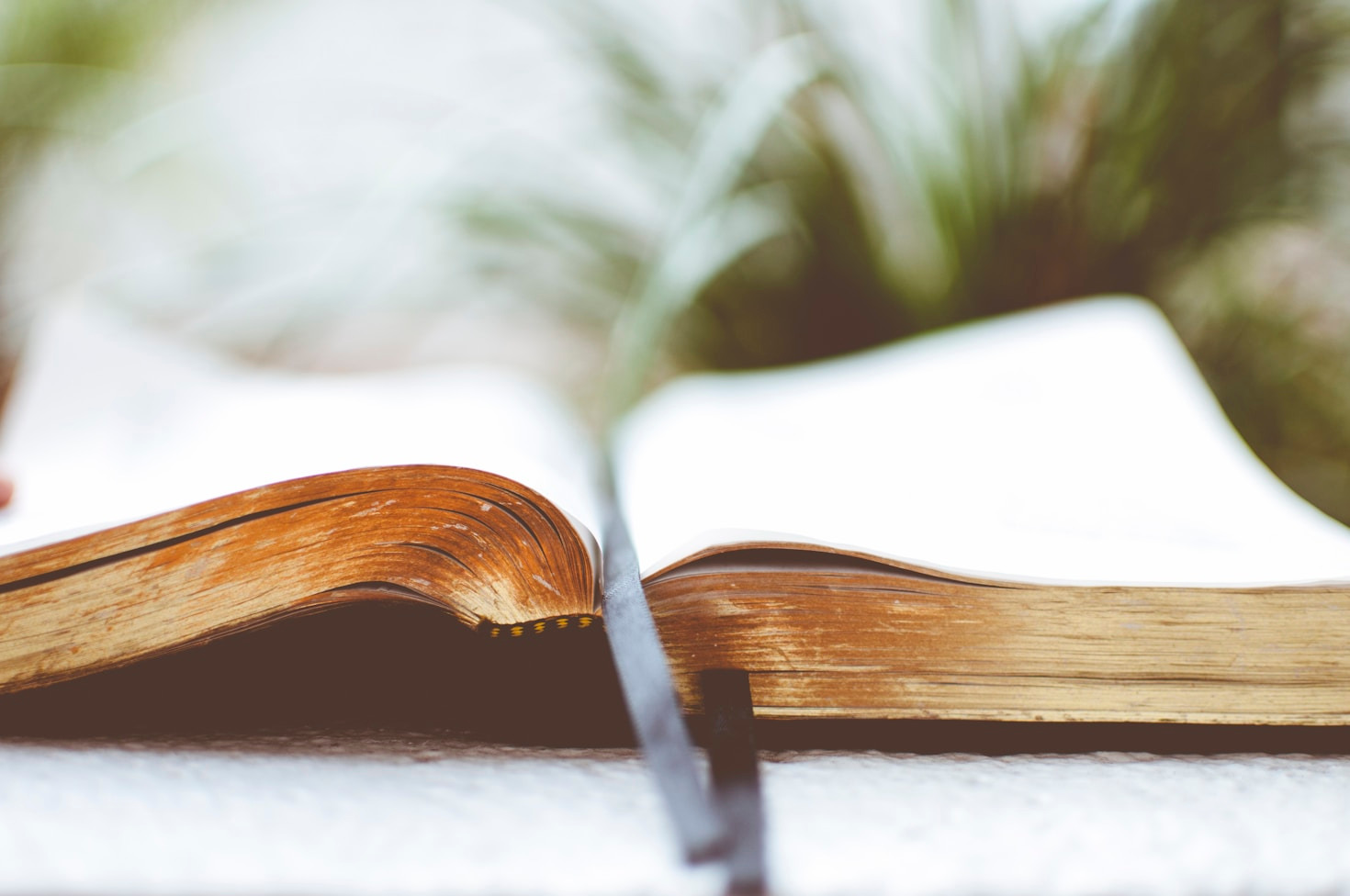 Finding Stillness In A Busy World