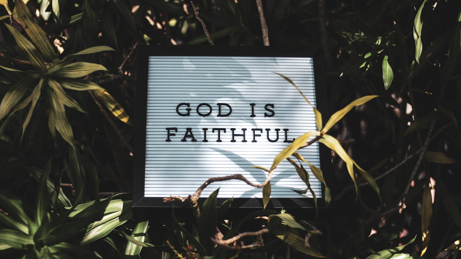 The Power Of Daily Prayer Habits